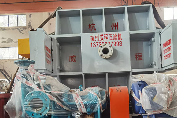 二次元扑克牌少女价格是多少？哪家优惠？
